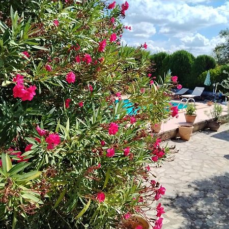 Hotel Lou Jasset Cabrieres-d'Aigues Exterior foto